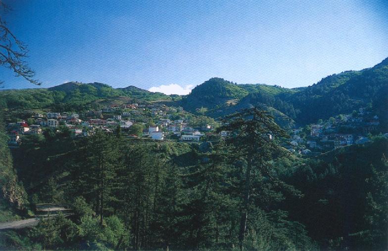 �� �����
��������