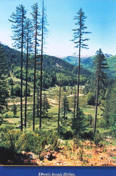 ������� ������
������