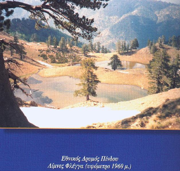 ������� ������
������ ������ ������ (�������� 1960 �.)